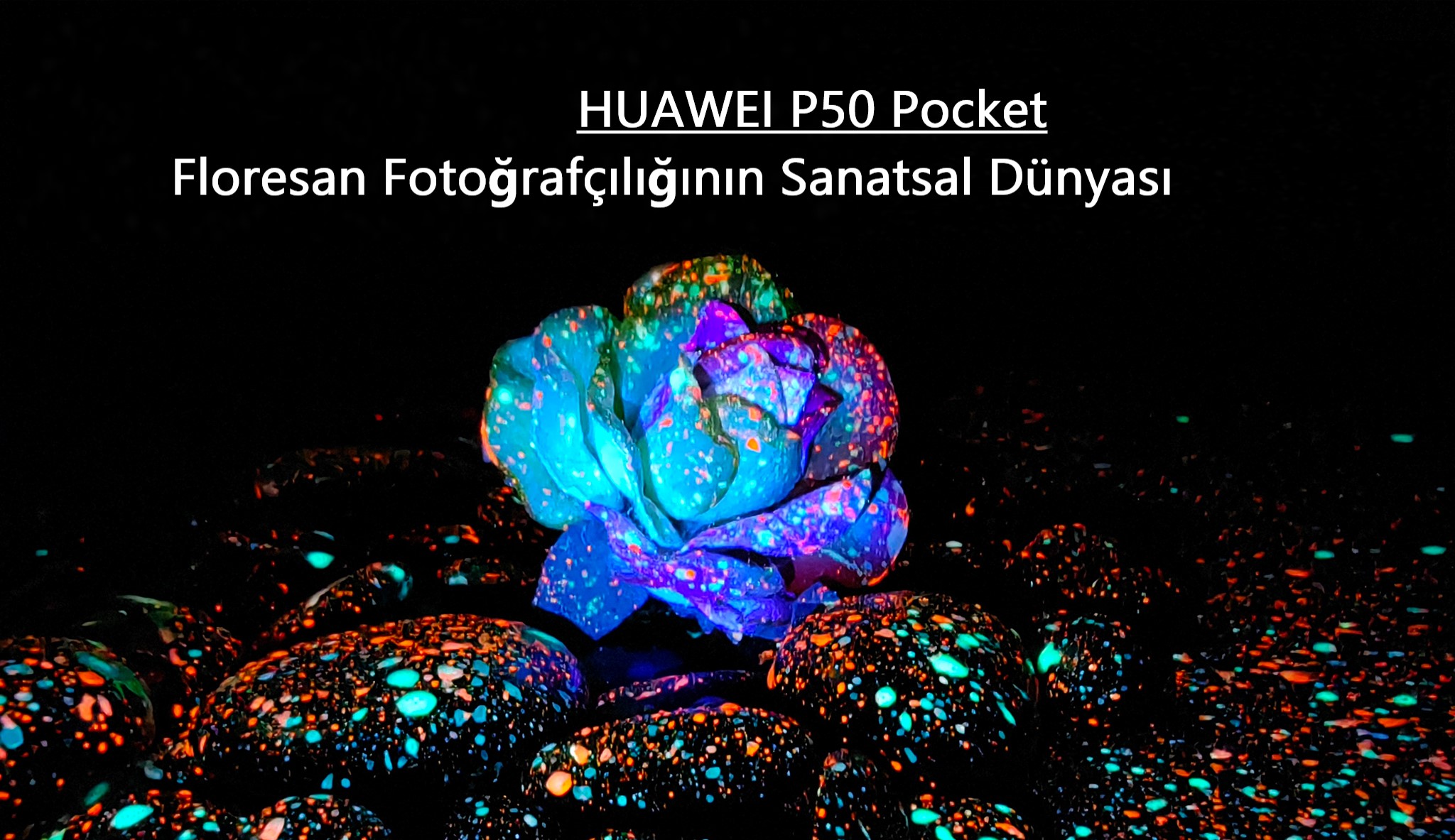 Floresan Fotoğrafçılığının Sanatsal Dünyası – HUAWEI P50 Pocket